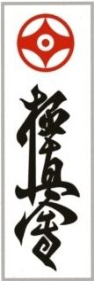 kyokushin_kanji.jpg